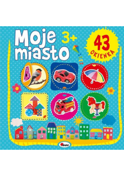Moje Miasto 43 okienka