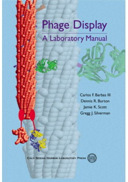 Phage Display A Laboratory Manual