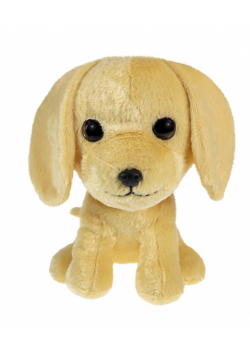 Lumo Golden retriever Molly big