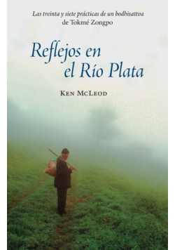 Reflejos en el Río Plata