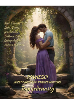 Powieści Józefa Ignacego Kraszewskiego. Tom 11