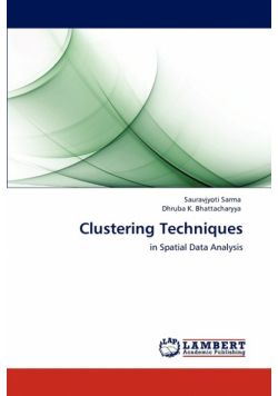 Clustering Techniques