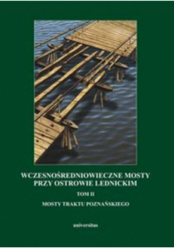 Wczesnośredniowieczne mosty przy Ostrowie Lednickim Tom II