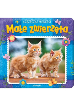 Małe zwierzęta Książeczka malucha