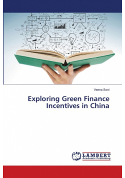 Exploring Green Finance Incentives in China