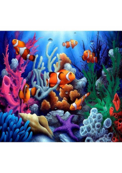 Mozaika diamentowa 5D - Rafa 40x30cm