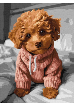 Malowanie po numerach - Magiczny Maltipoo 30x40cm