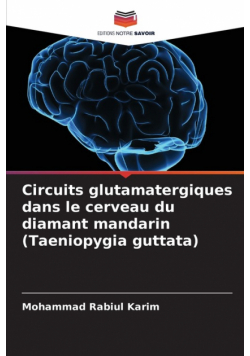 Circuits glutamatergiques dans le cerveau du diamant mandarin (Taeniopygia guttata)