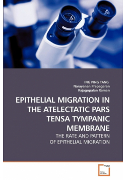 Epithelial Migration In The Atelectatic Pars Tensa Tympanic Membrane