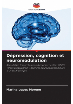Dépression, cognition et neuromodulation