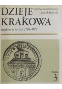 Dzieje Krakowa, Tom III