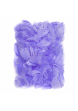 Piórka liliowe 5-12 cm 10g