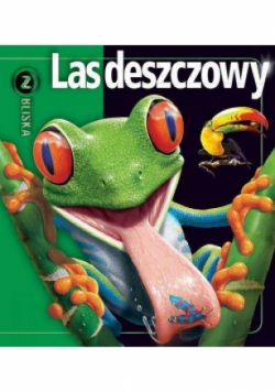 Las deszczowy z bliska