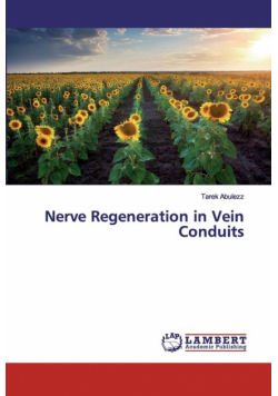 Nerve Regeneration in Vein Conduits
