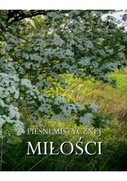 Pieśni mistycznej miłości