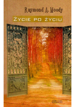 Życie po życiu