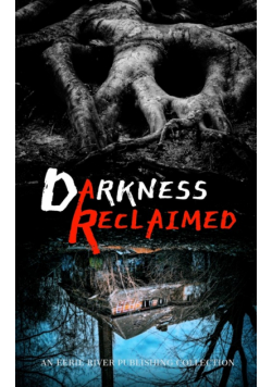Darkness Reclaimed