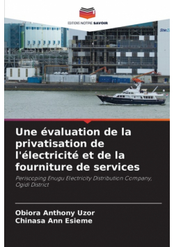 Une évaluation de la privatisation de l'électricité et de la fourniture de services