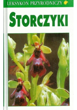 Storczyki