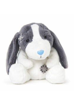 Niebieski nosek Basset Betsey