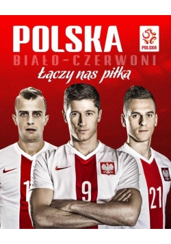 Plakat kibica 40 x 50cm 3 PZPN