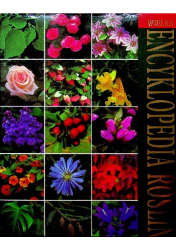 Wielka Encyklopedia roślin