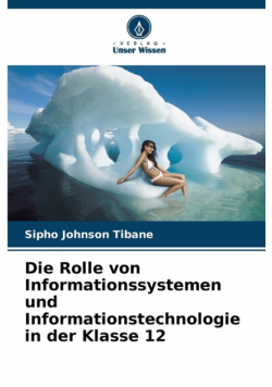 Die Rolle von Informationssystemen und Informationstechnologie in der Klasse 12