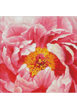 Diamentowa mozaika - Kolorowa piwonia 40x40cm