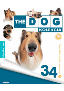 The Dog Owczarek Szkocki Długowłosy