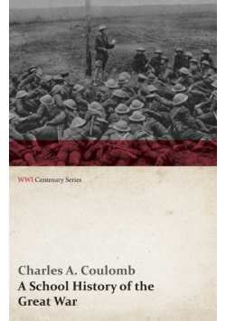 A School History of the Great War (WWI Centenary Series)