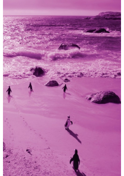 Alive! little penguin friends - Magenta duotone - Photo Art Notebooks (6 x 9 series)