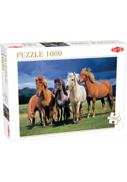 Puzzle Camargue horses 1000