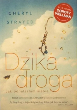 Dzika droga