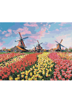 Malowanie po numerach - Tulipany 40x50cm