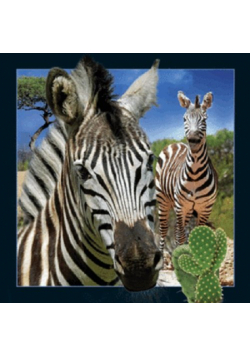Magnes 3D - Zebra