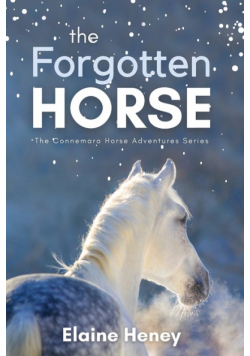 The Forgotten Horse - Book 1 in the Connemara Horse Adventure Series for Kids. The perfect gift for children age 8-12.