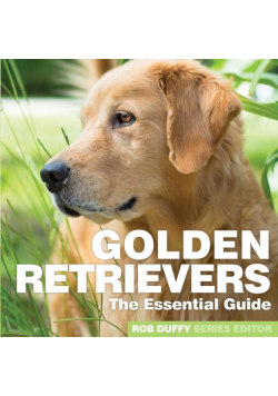 Golden Retrievers
