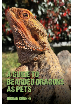 Guide to Bearded Dragons as Pets