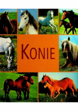 Konie