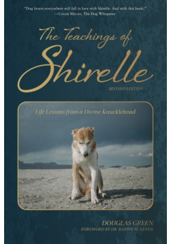 The Teachings of Shirelle