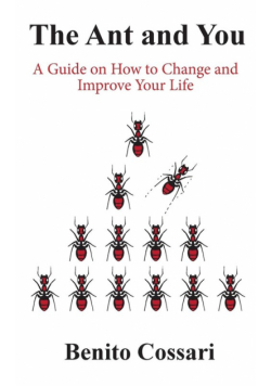 The Ant and You