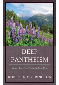 Deep Pantheism