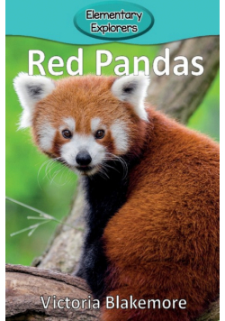 Red Pandas