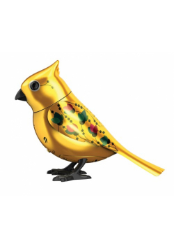 DigiBirds Goldie seria limitowana