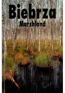 Biebrza Marshland