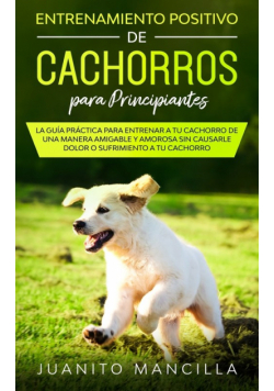 Entrenamiento Positivo De Cachorros Para Principiantes