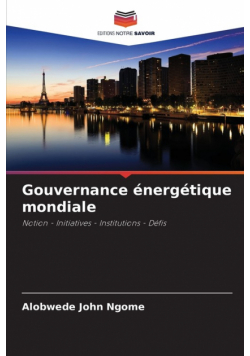 Gouvernance énergétique mondiale
