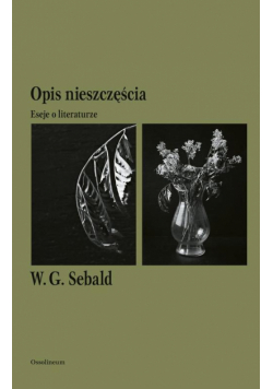 Opis nieszczęścia. Eseje o literaturze