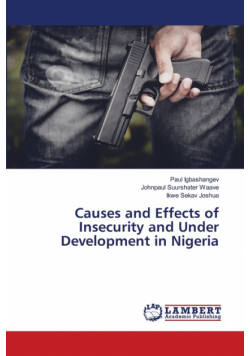 Causes and Effects of Insecurity and Under Development in Nigeria