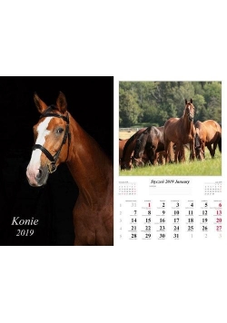 Kalendarz 2019 Konie 13 planszowy RADWAN